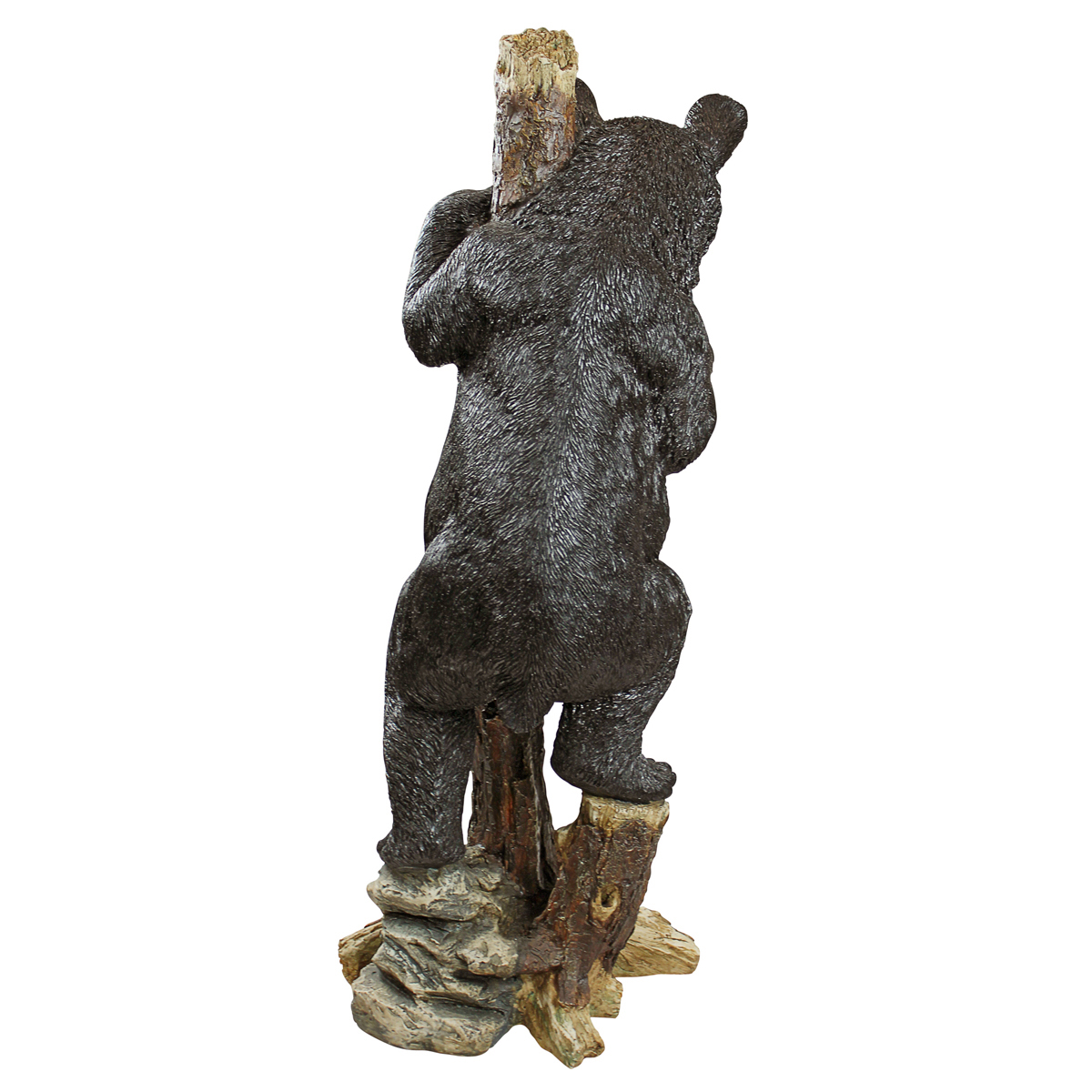 Image Thumbnail for Dt Bashful Bear Cub Statue